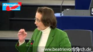 26112014  Mißtrauensvotum Juncker  Beatrix von Storch [upl. by Anderea]