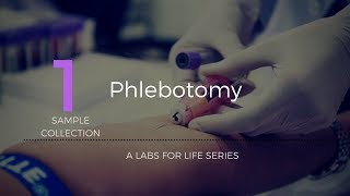 Phlebotomy [upl. by Setsero]