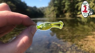 Great day of fishing w Creme Lures Frisky Frog [upl. by Cristine]