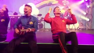 The new Wiggles live 2013 [upl. by Fenner550]