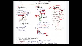 class 10 life processes heterotrophic nutrition [upl. by Hedgcock]