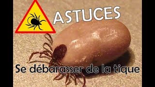 ASTUCES SE DEBARASSER DES TIQUES ACARIENS SANGUINAIRES [upl. by Ellenoj623]