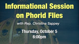 Rep Sappey Informational Session on Phorid Flies [upl. by Eixam]