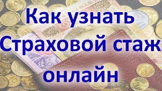 Как узнать свой страховой стаж онлайн с помощью интернета [upl. by Ecerehs]