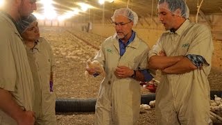 VetsOnCall – US chicken farms are humane  familyrun vets show [upl. by Anilatac372]