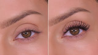 How To Make Your Eyelashes Look Longer With Mascara  Shonagh Scott [upl. by Rehtaeh884]