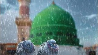 Meelad song miladunnabi [upl. by Annaehs]