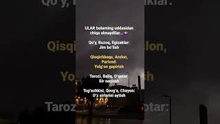 ULAR bularning uddasidan chiqa olmaydilar🤷‍♀ shortvideo automobile psixolog weather [upl. by Lenad]