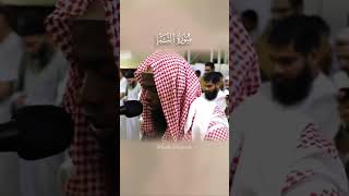 Sheikh Okasha Kameny  Surah AnNaba  Ayah 2130 [upl. by Nonnelg]