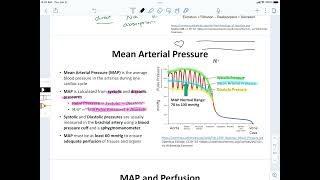 Mean Arterial Pressure amp Perfusion [upl. by Brockwell386]