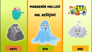 Maddenin Halleri ve Hal Değişimi [upl. by Asseralc]