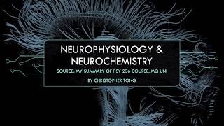 Neurophysiology amp Neurochemistry  Biopsychology [upl. by Giamo589]