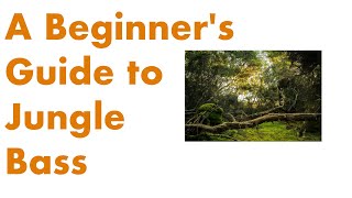 A Beginners Guide to Jungle Bass [upl. by Daniel]