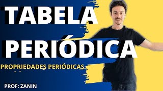 PROPRIEDADES PERIÓDICAS  Tabela Periódica [upl. by Eerak]