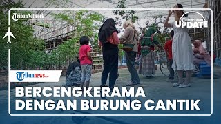 Bercengkrama Bersama Burungburung Cantik di Palembang Bird Park Bisa Interaksi Langsung sama Satwa [upl. by Nivert]