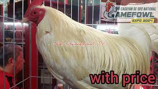 3rd Cagayan de oro National Gamefowl Expo 2024 with price [upl. by Dur]