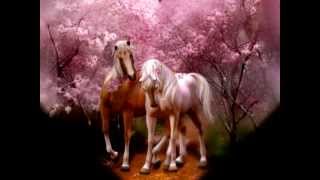 HISTORIA DE AMORRichard Clayderman [upl. by Babbette]