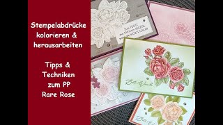 Stempelabdrücke kolorieren amp herausarbeiten  Tipps amp Techniken zum PP Rare Rose  Stampin Up® [upl. by Naitsabes112]