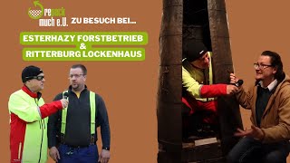 Esterhazy Forstbetrieb amp Ritterburg Lockenhaus  repack much eU  Folge 2 [upl. by Willow]