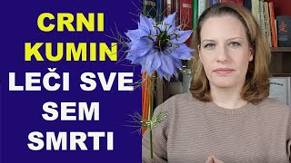 CRNI KUMIN  quotleči sve sem smrtiquotdr Bojana Mandić [upl. by Hough267]