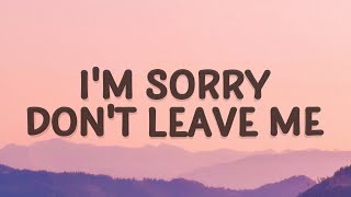 SLANDER  Im sorry dont leave me I want you here with me Lyrics  Love Is Gone [upl. by Nahshu]