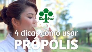 4 Dicas de como usar o Própolis [upl. by Sorenson239]