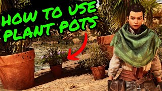 How To Use PLANT POTS in Ark Survival Ascended [upl. by Harhay]