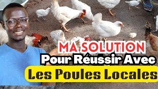 Voici la Solution pour Réussir lélevage des Poules Locales [upl. by Oriaj254]