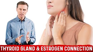 The Connection Between Thyroid Gland amp Estrogen – DrBerg [upl. by Nac]