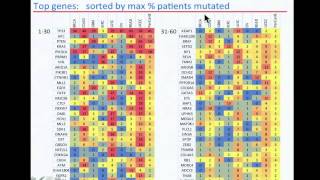 TCGA Analysis of Somatic Mutations Across Many Tumor Types  Petar Stojanov [upl. by Marlyn]