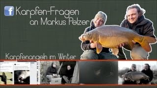 Karpfenangeln im Winter Die besten Tipps von Markus Pelzer [upl. by Letniuq]