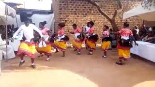 Buganda dance grolious cultural dances [upl. by Dahc]