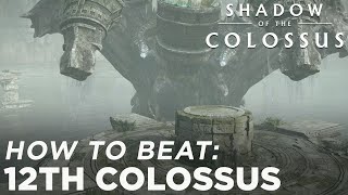 SHADOW OF THE COLOSSUS  PELAGIA 12 [upl. by Solohcin]