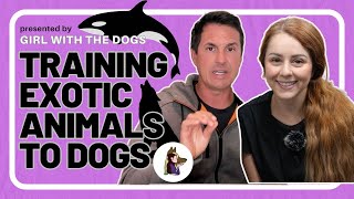 What Does Training Exotic Animals Have In Common With Dogs  Beckmans Dog Training [upl. by Bonnee439]