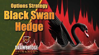 Black Swan Hedge Option Trade amp Google Sheets BSH Tracker Summary [upl. by Dnob]