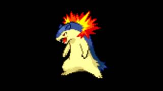 Pokemon Cries  157 Typhlosion [upl. by Esened]