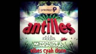 Machel Montano  Vibes Cyah Done Antilles Riddim 2012 [upl. by Rodger]