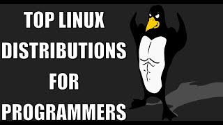 Top Linux Distributions for Programmers in 2024 [upl. by Prisca]