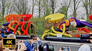 Flower parade keukenhof 2023  Netherlands  Bloemencorso van de Bollenstreek  Tulip Festival [upl. by Ury]