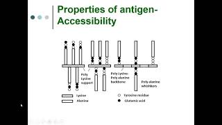 Immunology Lecture Series 27 Properties of antigens and Haptens [upl. by Kahl]