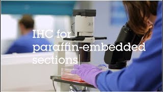 IHC for paraffin embedded sections video protocol [upl. by Heid]