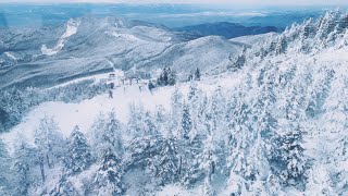 冬季  日本東北  藏王樹冰 ｜秋田內陸線｜蔵王の樹氷｜Smile Rail Akita Nairiku Line  Zao Snow Monsters Yamagata [upl. by Twyla206]