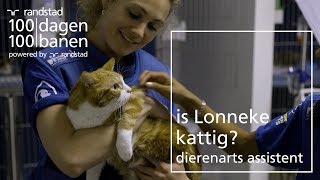 Wat doet een dierenarts assistent Loop een dagje mee  Randstad  Dag 53 [upl. by Celeski]