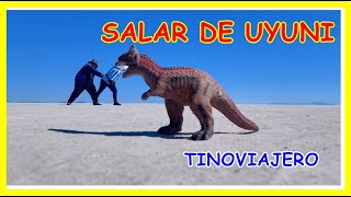 Salar de Uyuni Excursión precios [upl. by Winson]