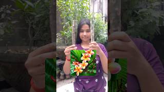 কাঠগোলাপ গাছের ডাল থেকে চারা বানানো সহজ।Rubra tricolor plumeria। shorts garden plants green [upl. by Krauss]