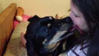 Rottie Kisses [upl. by Tolliver]