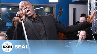 Seal  Kiss From A Rose Live  SiriusXM [upl. by Liddle]