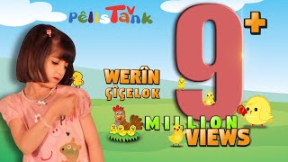 وەرین چیچەلۆک  WERÎN ÇîÇELOK  PELÍSTANK TV [upl. by Inavoig]