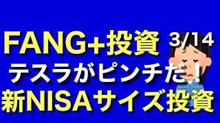 FANG、半導体ETF投資、テスラがピンチ！、新NISAサイズポートフォリオ日記 [upl. by Anyer]