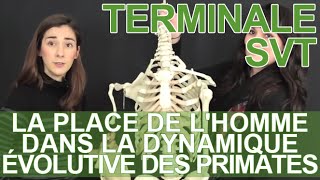 La place de lHomme dans la dynamique évolutive des Primates  SVT terminale  Les Bons Profs [upl. by Millman449]